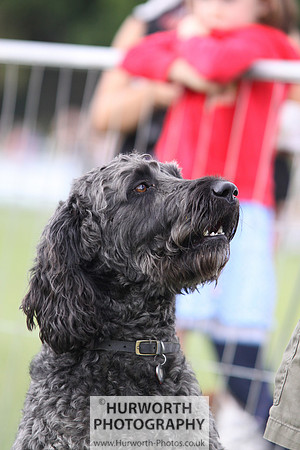 Raby Castle Game Fair 016