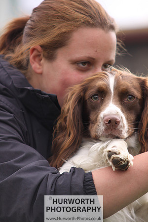 Raby Castle Game Fair 017