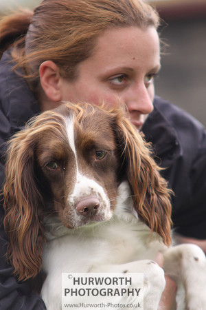 Raby Castle Game Fair 019