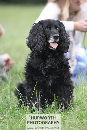Raby Castle Game Fair 027