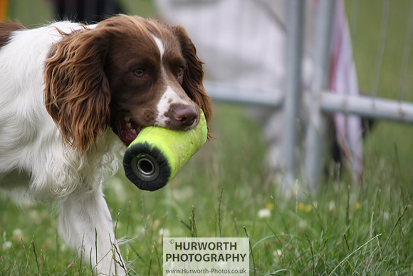 Raby Castle Game Fair 031
