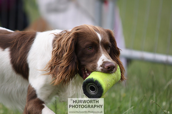 Raby Castle Game Fair 032