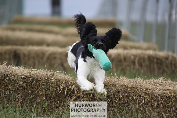 Raby Castle Game Fair 034
