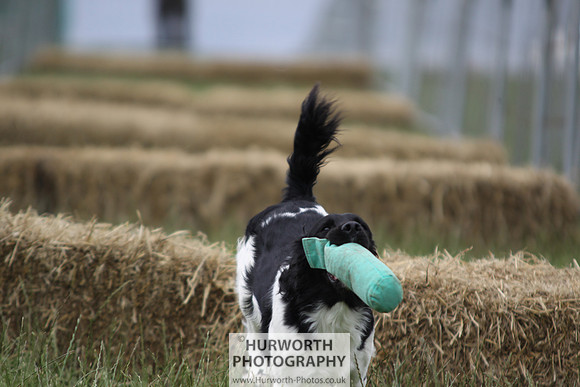 Raby Castle Game Fair 035