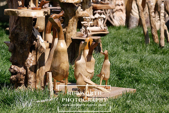 Yorkshire Game Fair 023