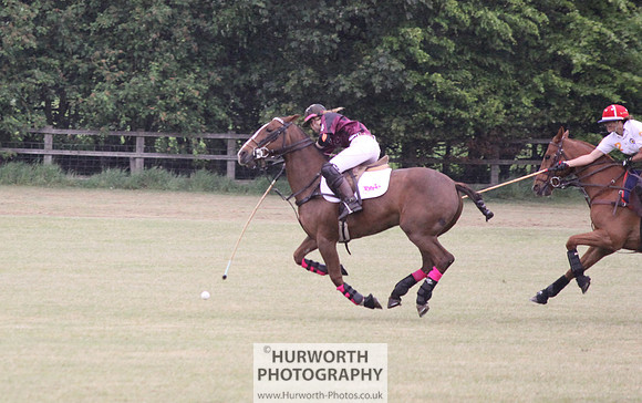 Toulston Polo 004