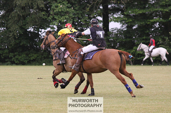 Toulston Polo 003