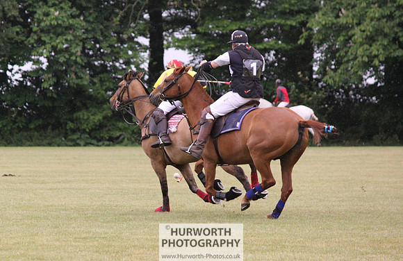 Toulston Polo 002