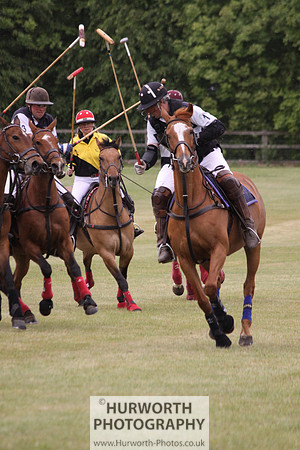 Toulston Polo 010