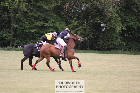 Toulston Polo 012
