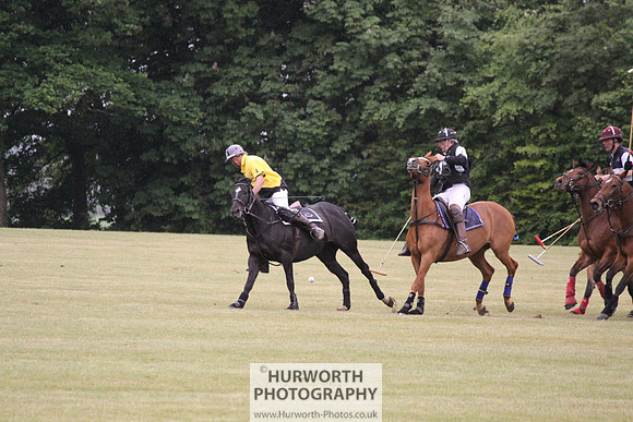 Toulston Polo 014