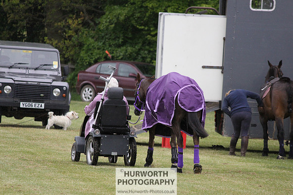 Toulston Polo 016