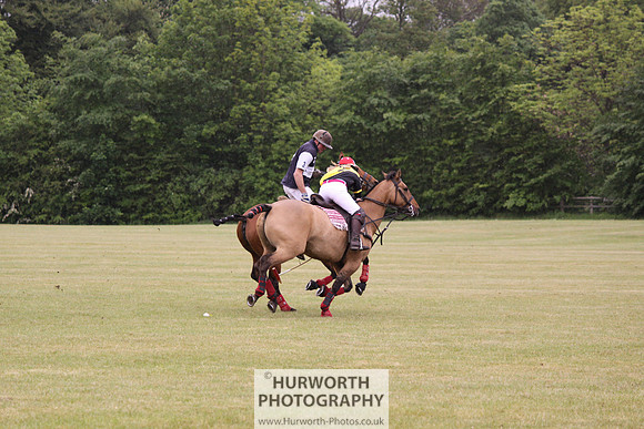 Toulston Polo 019
