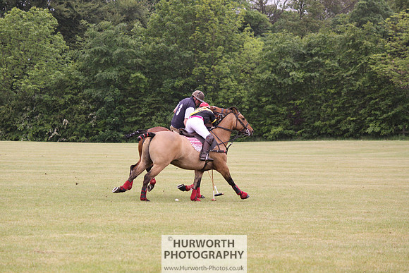 Toulston Polo 020