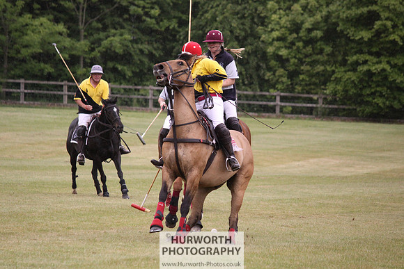 Toulston Polo 021
