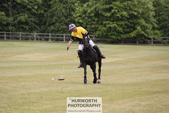 Toulston Polo 024