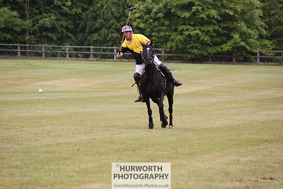 Toulston Polo 025