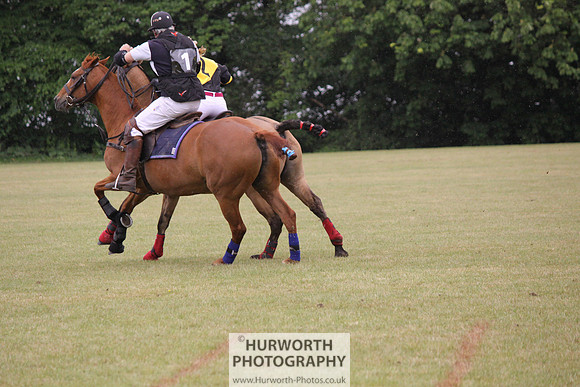 Toulston Polo 027