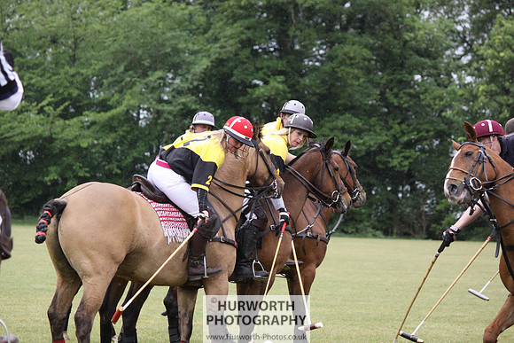 Toulston Polo 030