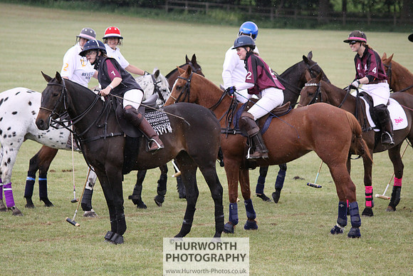 Toulston Polo 036
