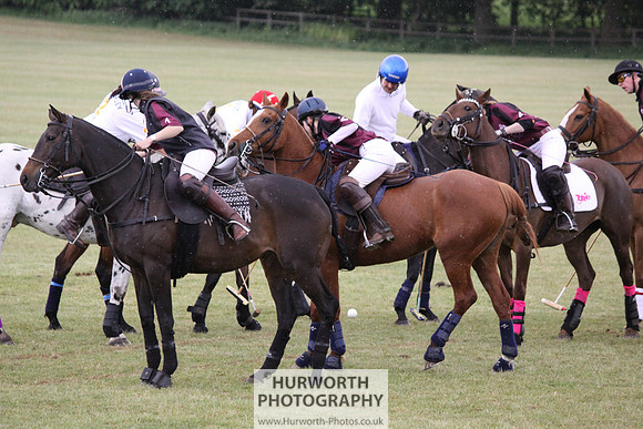 Toulston Polo 037
