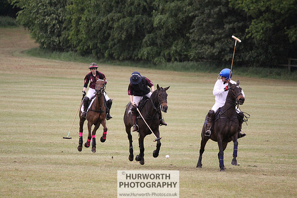 Toulston Polo 046