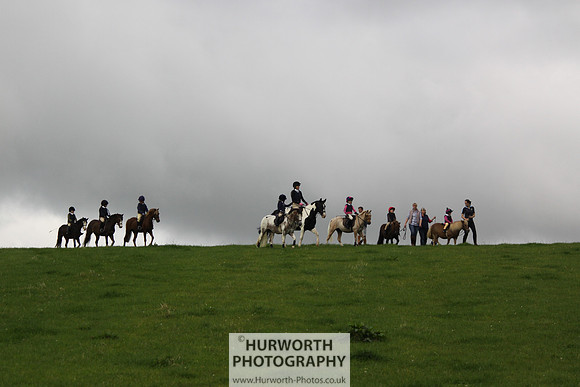 Hurworth HedgeHop 002