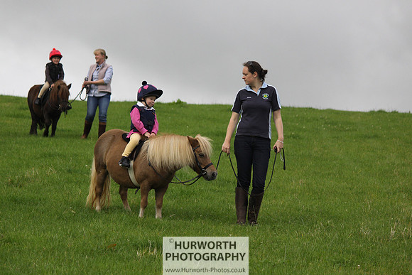 Hurworth HedgeHop 004