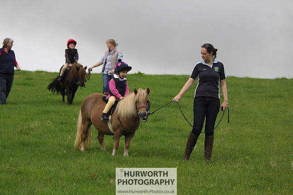 Hurworth HedgeHop 005