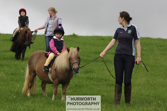 Hurworth HedgeHop 006