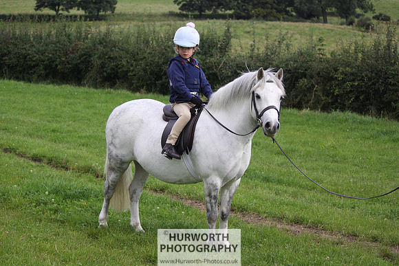 Hurworth HedgeHop 010