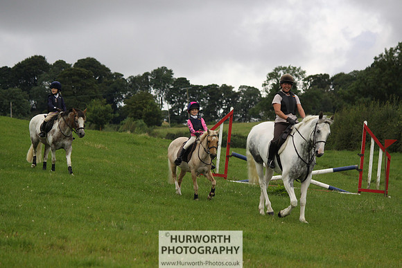 Hurworth HedgeHop 021