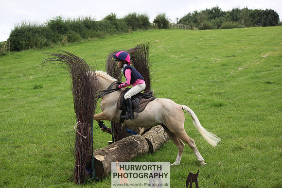 Hurworth HedgeHop 022