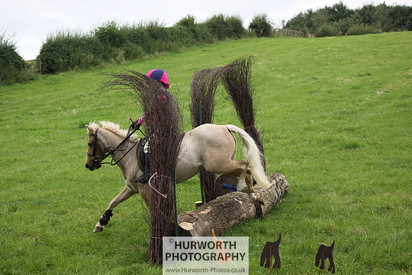 Hurworth HedgeHop 023