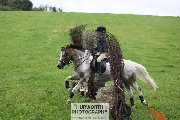 Hurworth HedgeHop 024