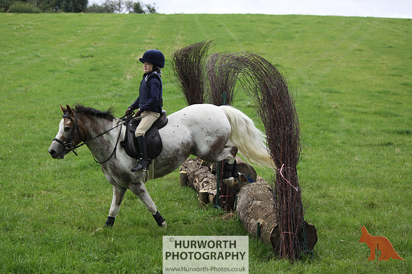 Hurworth HedgeHop 025