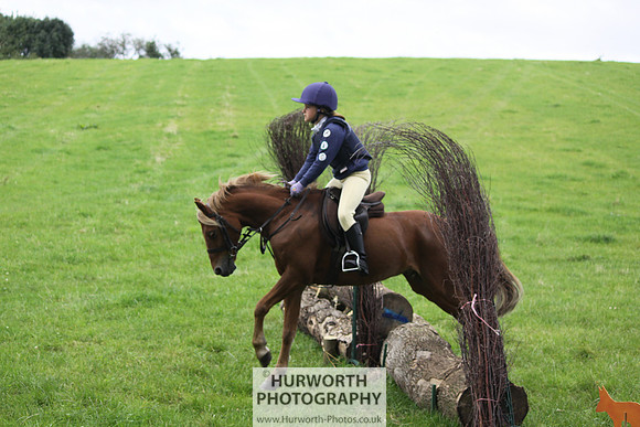Hurworth HedgeHop 028