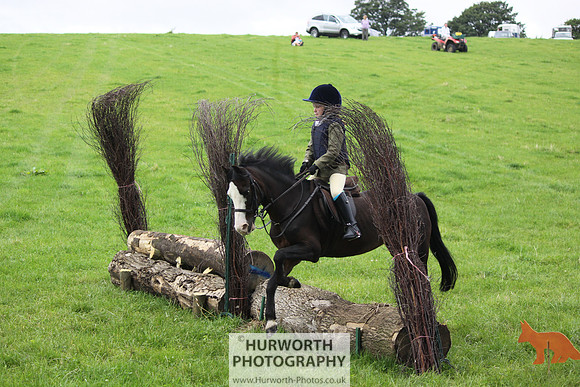 Hurworth HedgeHop 032