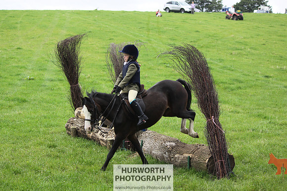 Hurworth HedgeHop 033