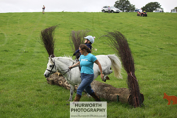 Hurworth HedgeHop 035