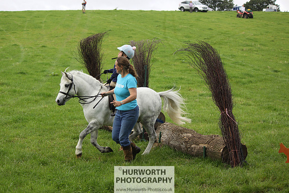 Hurworth HedgeHop 036