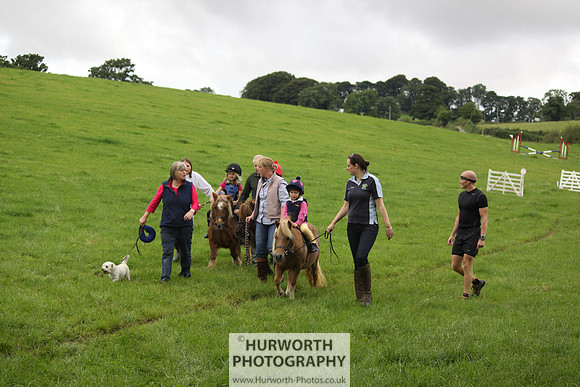 Hurworth HedgeHop 037