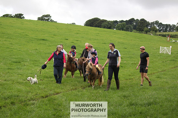 Hurworth HedgeHop 038