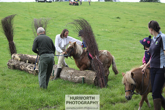 Hurworth HedgeHop 039