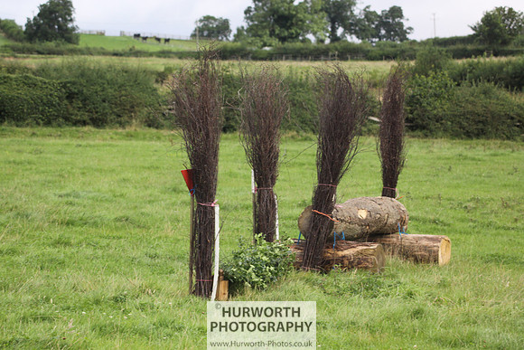 Hurworth HedgeHop 041
