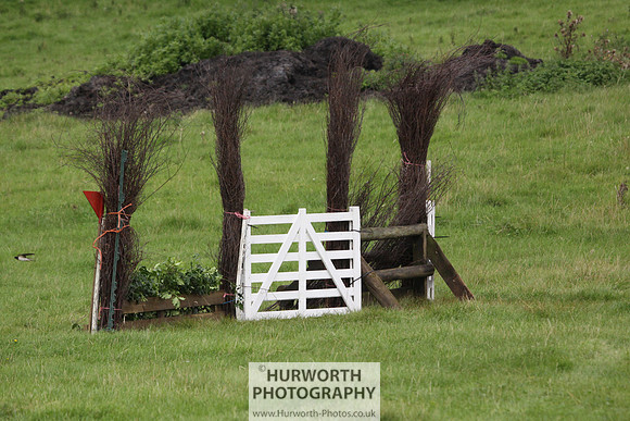 Hurworth HedgeHop 042