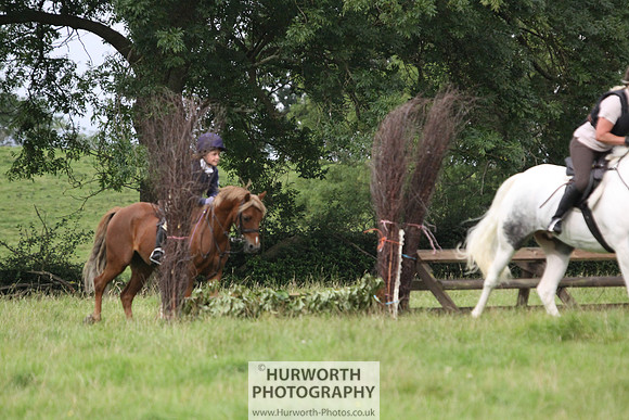 Hurworth HedgeHop 043