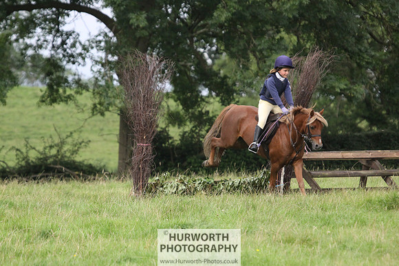 Hurworth HedgeHop 045