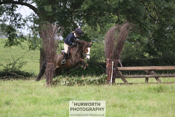 Hurworth HedgeHop 046