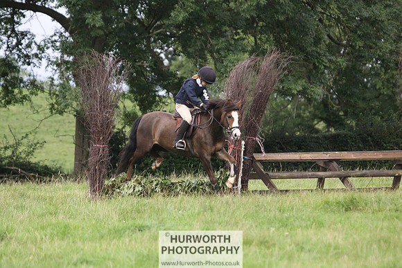 Hurworth HedgeHop 047